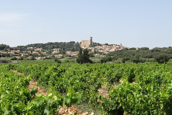 Highlights of Provence : Chateauneuf du Pape & Luberon - The Avignon pause and the lunch question