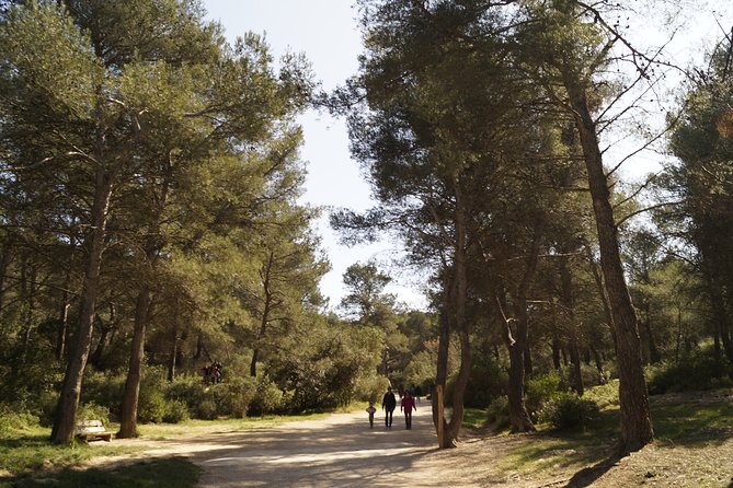 Hiking in the Calanques National park from Marseille - A light picnic beside the Mediterranean