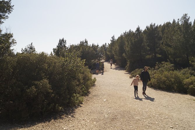 Hiking in the Calanques National park from Marseille - What the guides add to the day