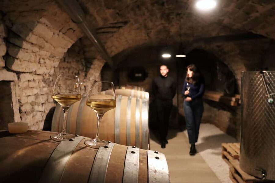 Historic Center of Dijon : Discovery Tasting Wine Burgundy - Starting beneath Rue Berbisey