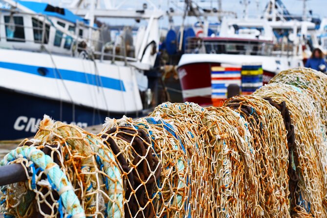 Honfleur Private Walking Tour - The Vieux Bassin, Honfleur’s visual center