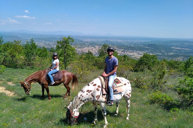 Horse ride in Haute Provence Luberon and Forcalquier - Meeting Jules and the horses at Janssaud