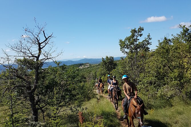 Horse ride in Haute Provence Luberon and Forcalquier - Price and the value of a small-group outing