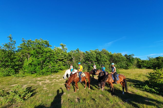 Horse ride in Haute Provence Luberon and Forcalquier - Clothing, helmets, and physical demands
