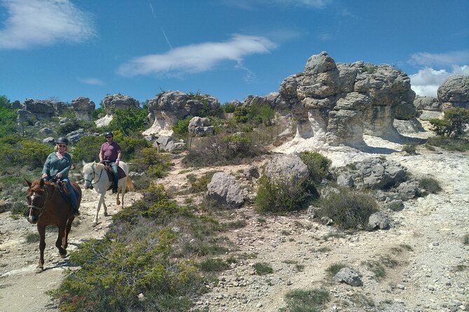 Horse ride in Haute Provence Luberon and Forcalquier - Choosing between Forcalquier and the Luberon
