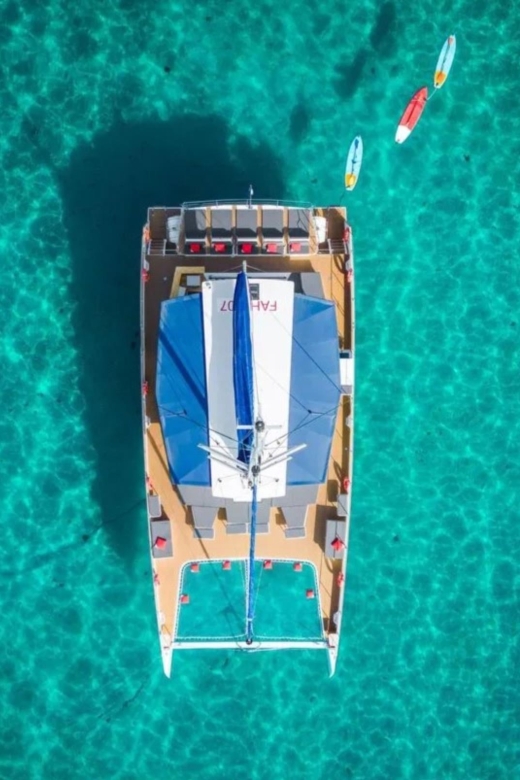 Hyères : Morning Discovery or Relaxing Afternoon cruise - Practical tips for a smoother half-day