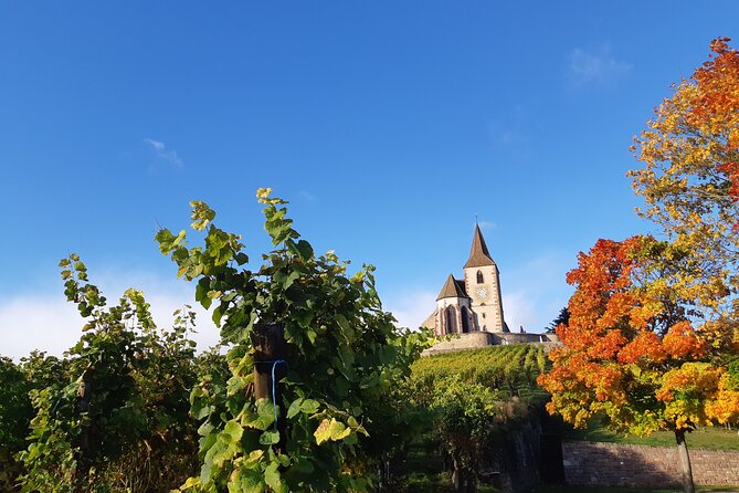 ICONICS Tour: 1/2 day on the Wine Route, visit of 2 Villages + Tasting. - Riquewihr with an hour to wander