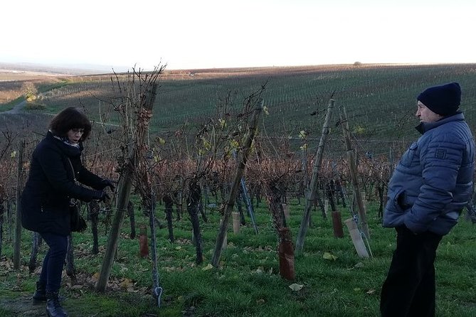 ICONICS Tour: 1/2 day on the Wine Route, visit of 2 Villages + Tasting. - The guide makes the difference