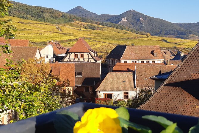 ICONICS Tour: 1/2 day on the Wine Route, visit of 2 Villages + Tasting. - Meeting Anna at 1:45 pm in Colmar