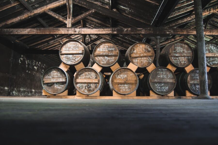 Jarnac: Braastad cognac prestige visit - Why this 90-minute visit works