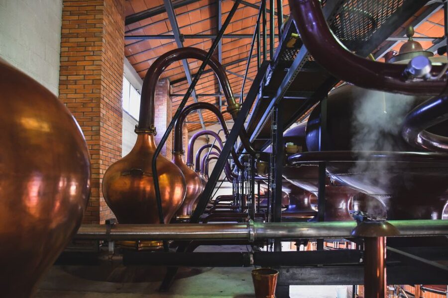 Jarnac: Braastad cognac prestige visit - Arriving at 29 Quai Île Madame