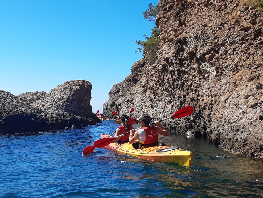 La Ciotat: Calanques National Park Guided Kayak Tour - What the guides add to the experience