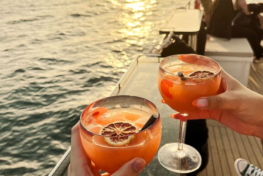 La Grande Motte: Camargue Sunset Catamaran Tour with a Drink - Sunbeds, open water, and a slower evening