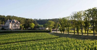 Languedoc: Tour and Tasting at Domaine de Baronarques