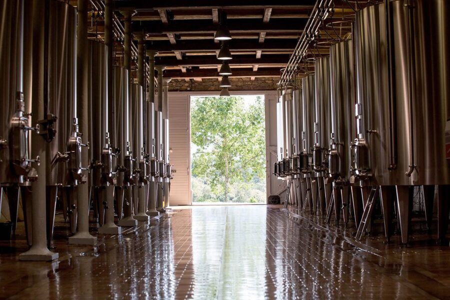 Languedoc: Tour and Tasting at Domaine de Baronarques - How to make the most of your hour