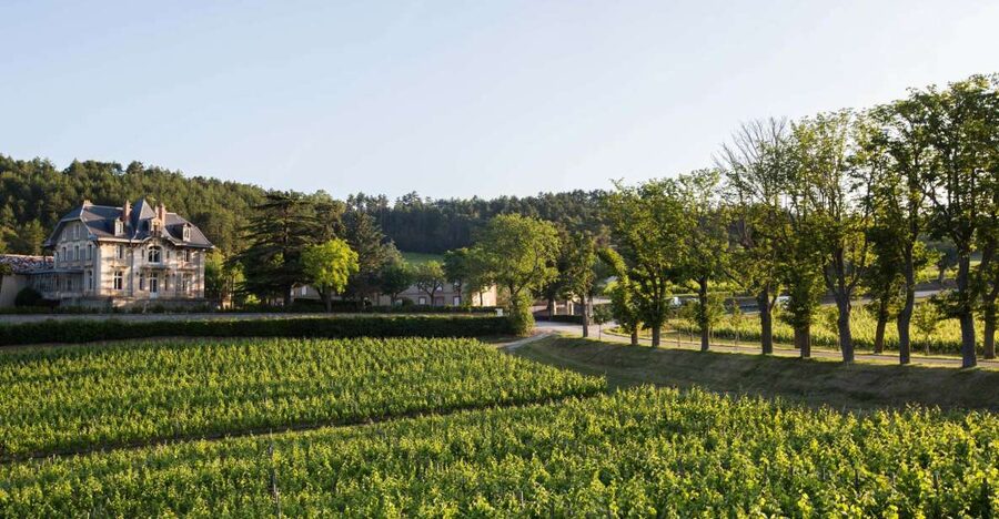Languedoc: Tour and Tasting at Domaine de Baronarques - The estate’s story begins with the Abbey de Saint-Polycarpe