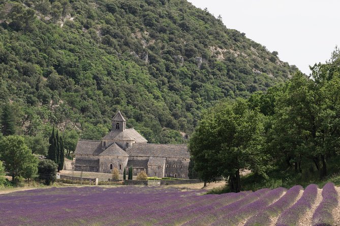 Lavender in Luberon Small Group Half-Day Trip - A five-hour route through the Luberon