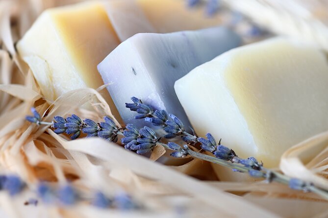 Lavender Route - Small-Group Day Trip from Avignon - Who Will Enjoy This Provence Day Trip?