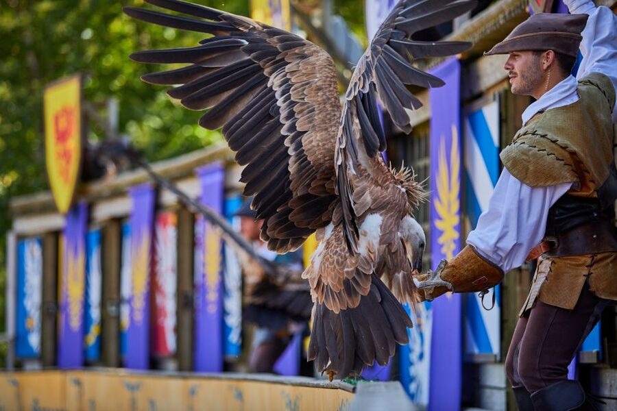 Les Epesses: Puy du Fou Theme Park 1-Day Entry Ticket - Vikings, longships, and rapid scene changes