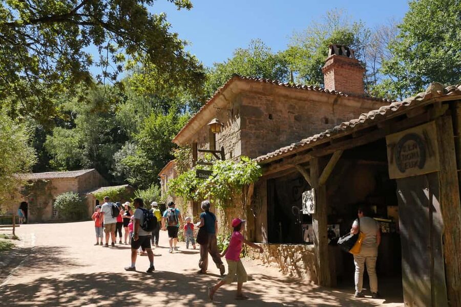 Les Epesses: Puy du Fou Theme Park 1-Day Entry Ticket - Birds of prey and the animal performances