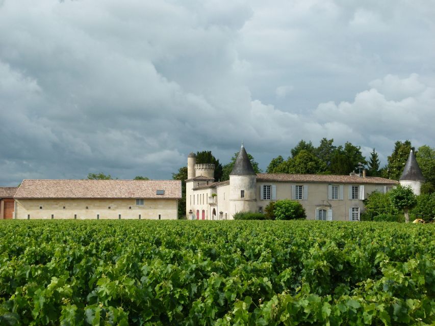 Libourne: Winery Tour with Wine and Chocolate Tasting - Why the guide can make or break the visit