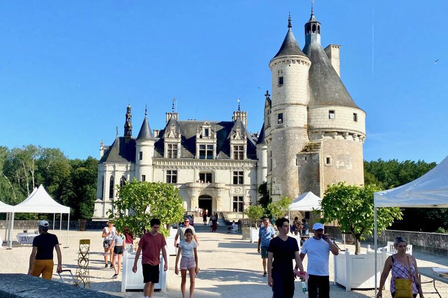 Loire Valley Castles: Chenonceau, Amboise & Da Vinci Trip - Amboise, lunch, and a royal hilltop
