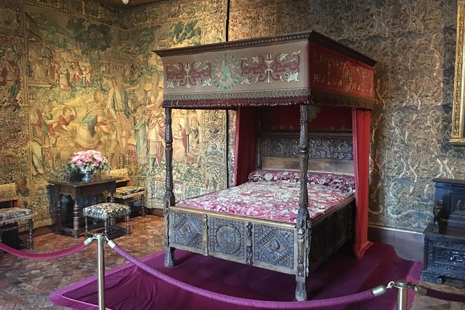 Loire Valley Castles VIP Private Tour: Chambord, Chenonceaux, Amboise - What the guide adds to the day
