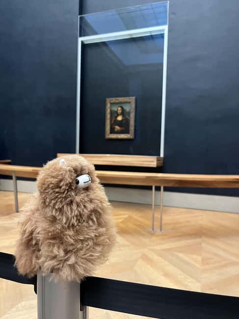 Louvre Museum Entry Ticket and Private Guided Tour - Why a private Louvre tour helps