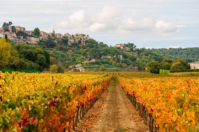 Luberon Small-Group Day Trip from Avignon - Timing, comfort, and physical demands