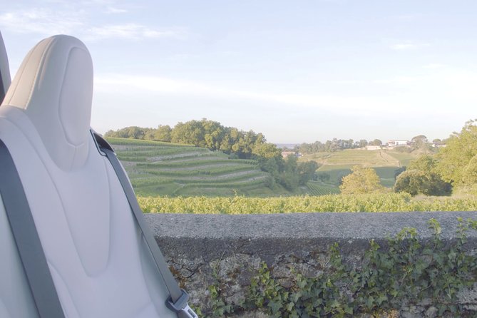 Luxurious full day Bordeaux wine tour in a Tesla - Why the Tesla makes a practical difference