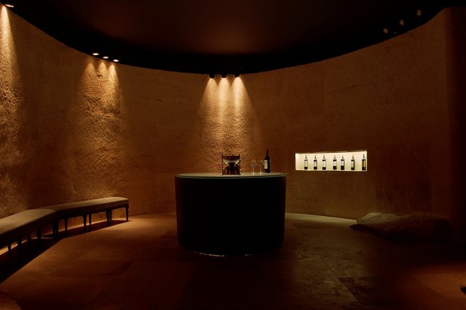 Luxurious full day Bordeaux wine tour in a Tesla - A guide who does more than drive