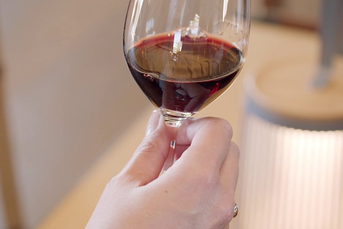 Luxurious full day Bordeaux wine tour in a Tesla - Lunch and tastings require a separate budget