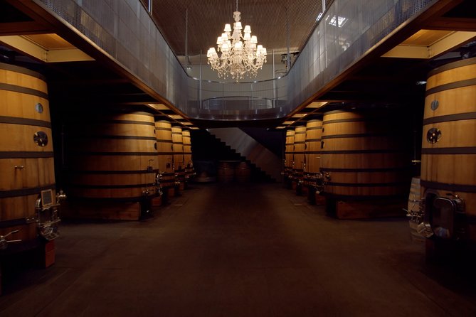 Luxurious full day Bordeaux wine tour in a Tesla - The right pace for an eight-hour outing