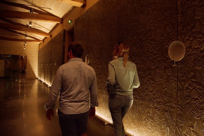 Luxurious full day Bordeaux wine tour in a Tesla - Who will enjoy this Bordeaux tour most