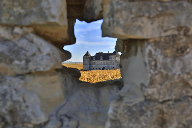 Luxury Luxury Wine Tour Experience - Starting at 9:30 a.m. from Beaune or Dijon