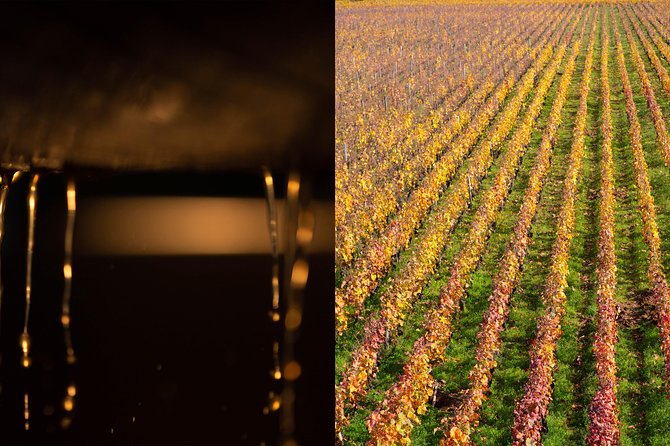 Luxury Luxury Wine Tour Experience - Eighteen tastings, including eight top-class wines