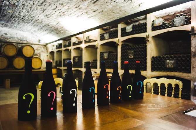 Luxury Luxury Wine Tour Experience - Buying bottles without the awkward sales pitch