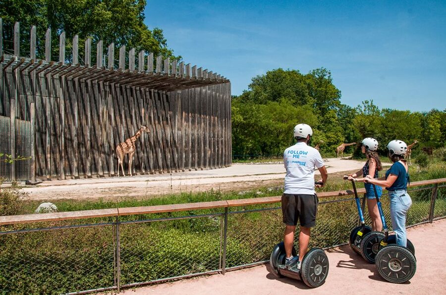 Lyon: City Segway Tour with a Local Guide - Forty-five minutes in Tête d’Or Park