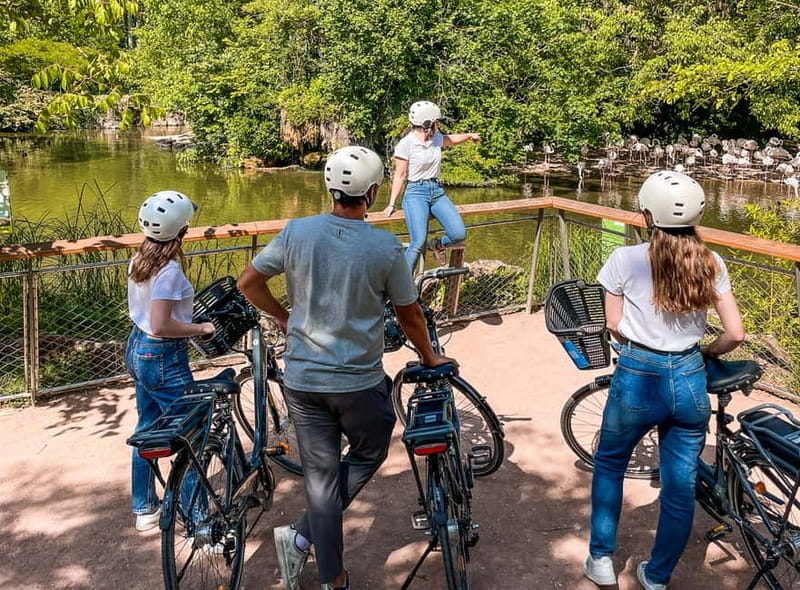 Lyon: Parc Tête d'Or eBike Tour - Who will enjoy this Lyon bike tour most