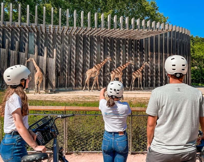 Lyon: Parc Tête d'Or eBike Tour - Starting in the Peninsula: Lyon’s grand civic center