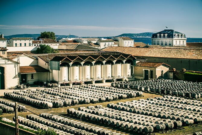 Maison Noilly Prat VIP tour, wine and vermouth tastings - Key points to know before you go