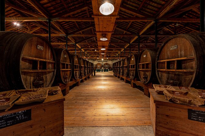 Maison Noilly Prat VIP tour, wine and vermouth tastings - The cooperage and bar stop