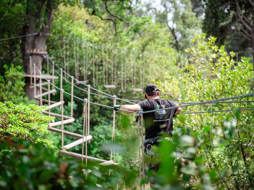 Marseille: Ecopark Adventures Treetop Adventure - Key points at a glance