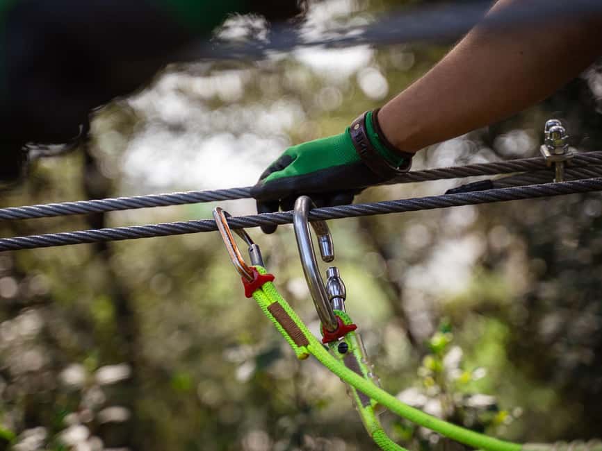 Marseille: Ecopark Adventures Treetop Adventure - What the Marseille treetop park is really like