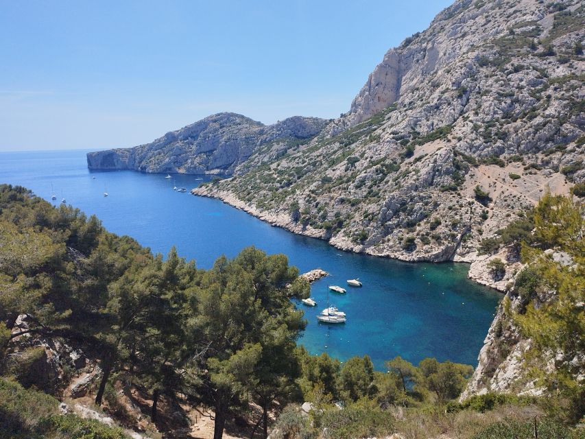 Marseille: Guided Hiking Calanques National Park from Luminy - Key Points to Know Before You Book