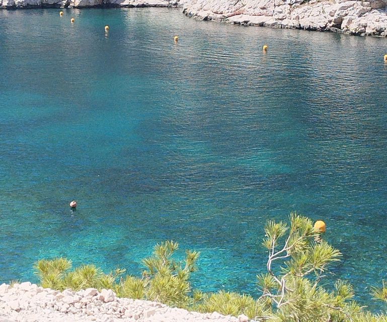 Marseille: Guided Hiking Calanques National Park from Luminy - A Local Picnic Beside the Water