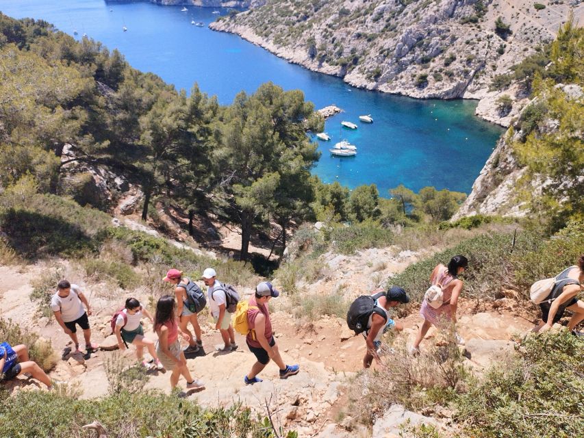 Marseille: Guided Hiking Calanques National Park from Luminy - What the $47 Price Really Covers