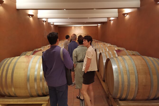 Marseille Shore Excursion - Full Day Wine Tour in Provence - Choosing between Cassis, Aix-en-Provence, and Lourmarin