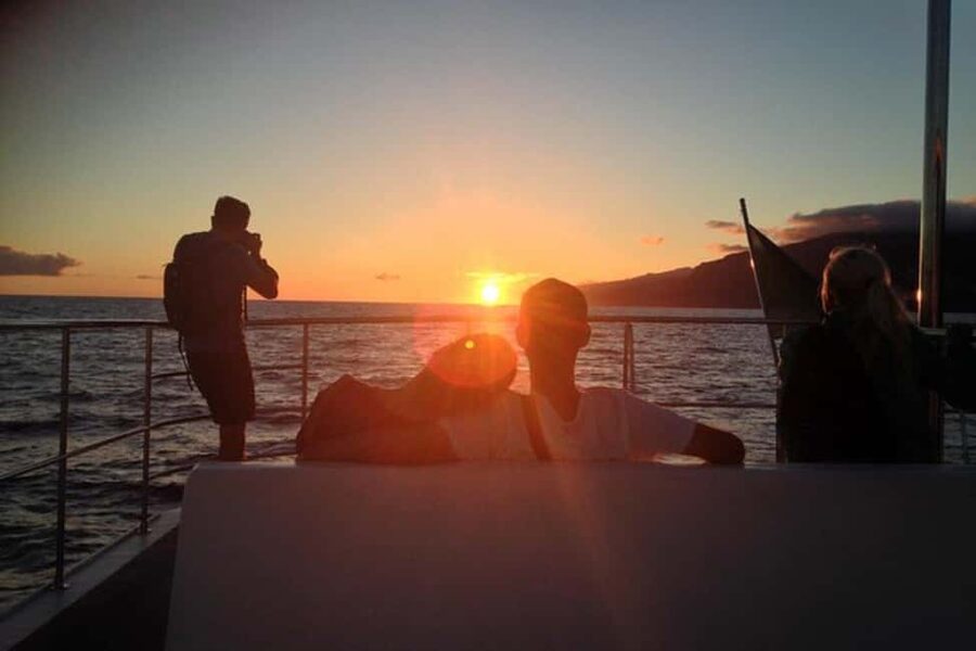 Marseille: Sunset catamaran cruise, buffet & drinks - Booking, cancellation, and practical preparation