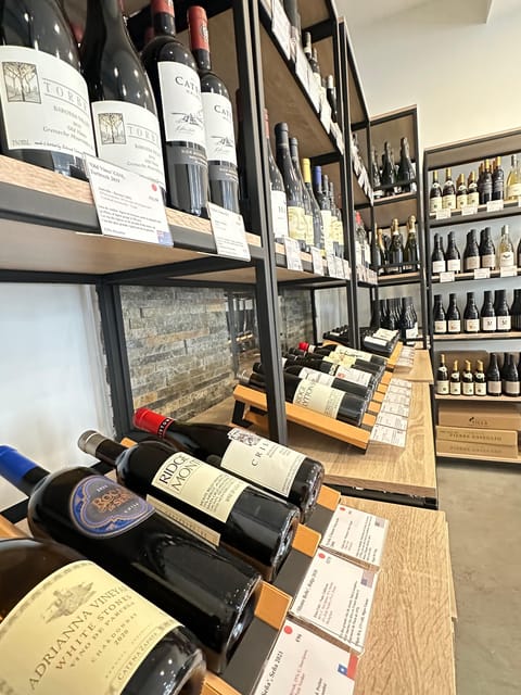 Marseille: Tailored Wine Tasting Experience in Top Wine Shop - Three tasting themes, three different ways to understand wine